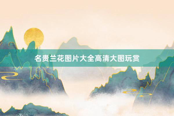 名贵兰花图片大全高清大图玩赏